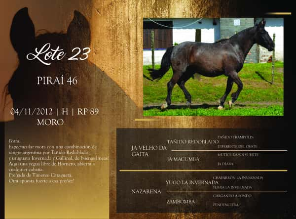 Lote RP 46 - PIRAÍ 46