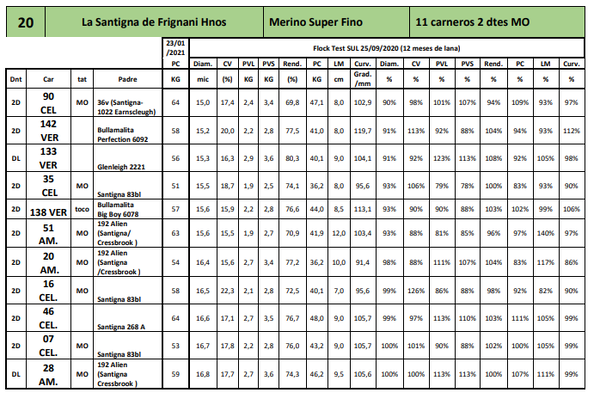 Lote 11 carneros 2 dtes MO