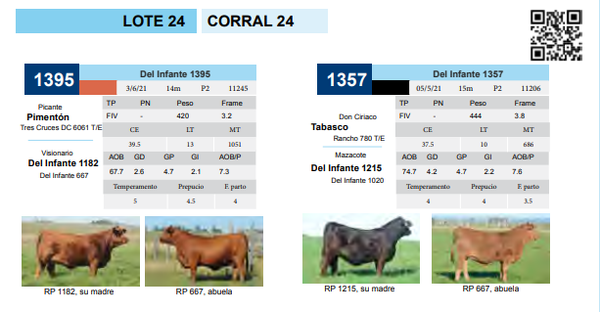 Lote CORRAL 24
