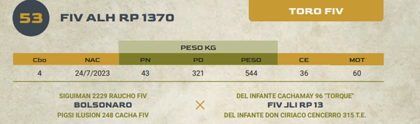 Lote LOTE 53