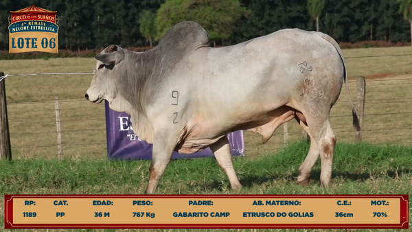Lote LOTE 6