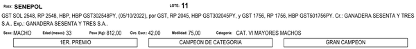 Lote LOTE 11