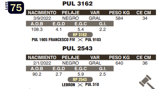 Lote LOTE 75