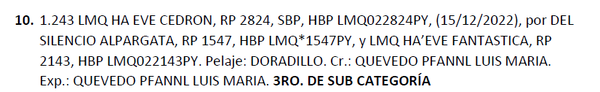 Lote LOTE 10