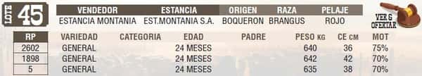 Lote LOTE 45 - EN VIVO