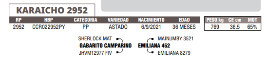 Lote LOTE 81