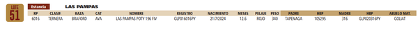 Lote LOTE 51