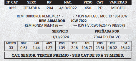 Lote LOTE 4 - BOZAL