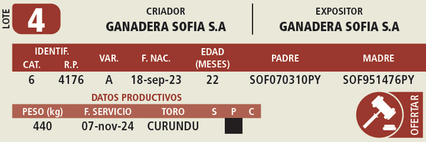 Lote LOTE 4