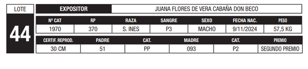 Lote LOTE 44