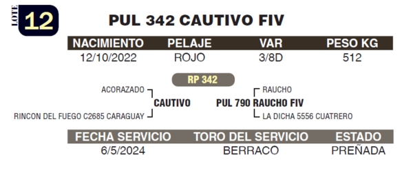 Lote LOTE 12