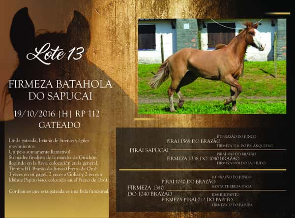 Lote RP 112 - FIRMEZA BATAHOLA DO SAPUCAI