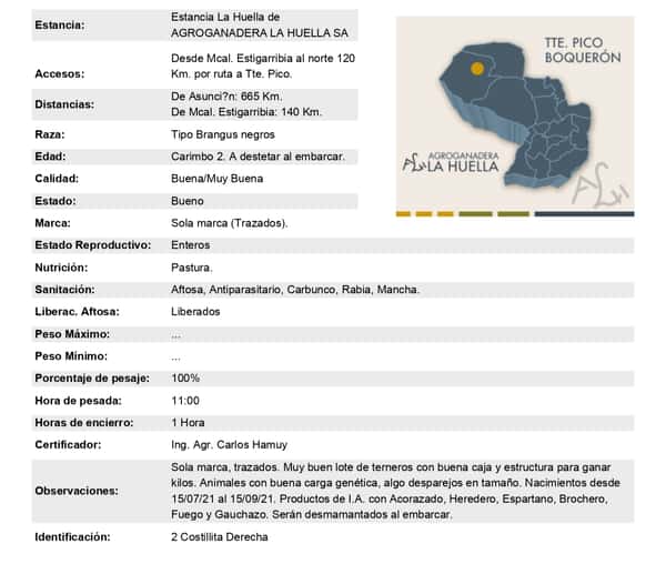 Lote Lote 13