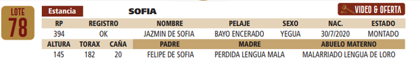 Lote LOTE 78