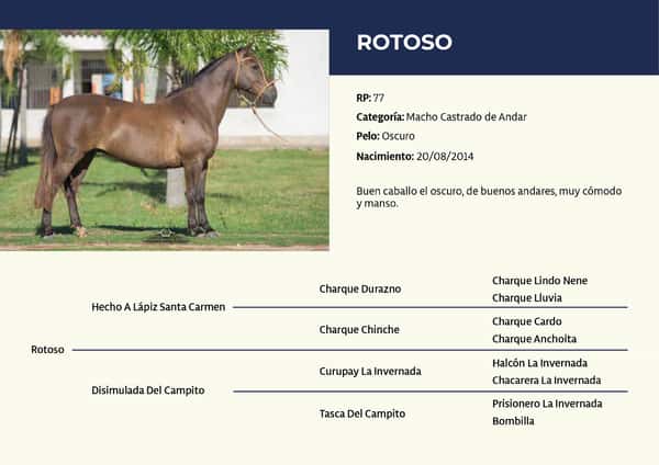 Lote RP 77 - Rotoso
