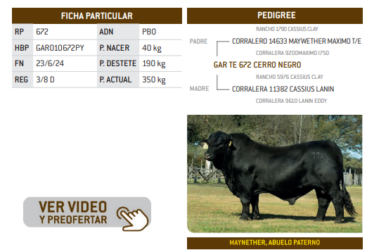 Lote LOTE 17