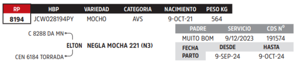 Lote LOTE 85