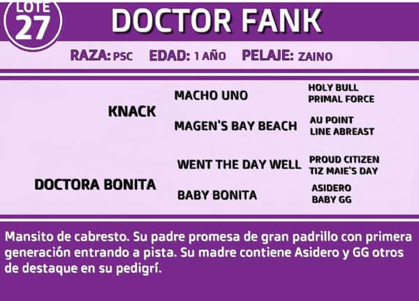 Lote DOCTOR FANK