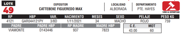 Lote LOTE 49- CAMPO