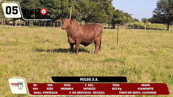 Lote LOTE 5