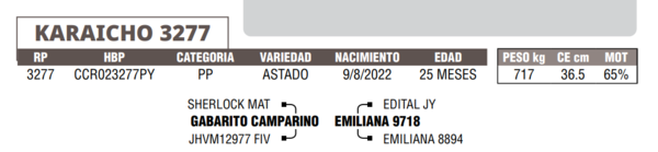 Lote LOTE 32