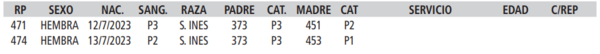 Lote LOTE 5