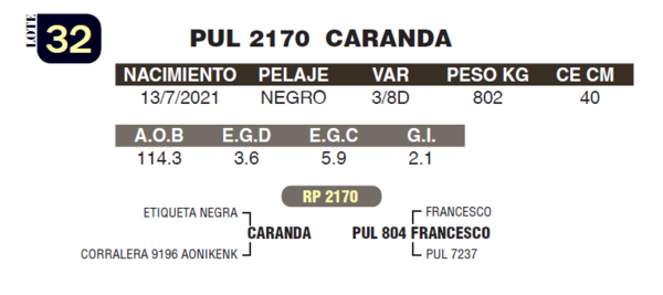 Lote LOTE 32