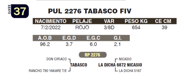 Lote LOTE 37