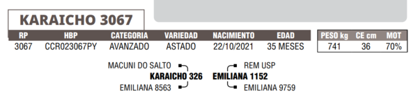 Lote LOTE 6