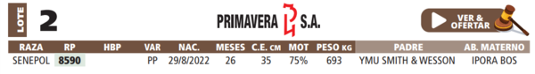 Lote LOTE 2