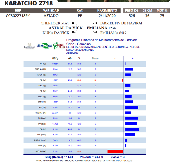 Lote LOTE 11