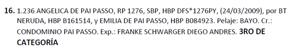 Lote LOTE 16