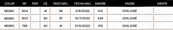 Lote "TRES MOLINOS"  TOROS  P.C.