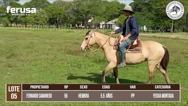 Lote LOTE 5 DE BOZAL