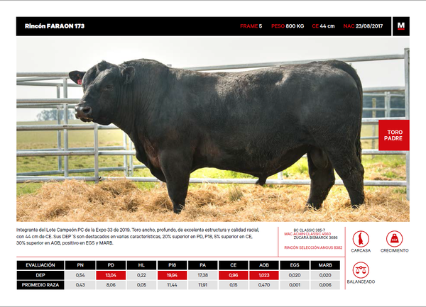 Lote RINCON FARAON 173
