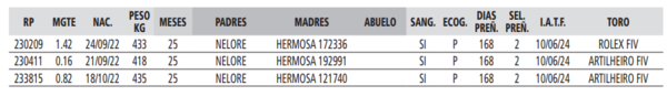 Lote LOTE 18