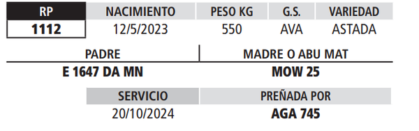 Lote LOTE 23