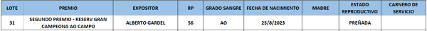 Lote LOTE 31