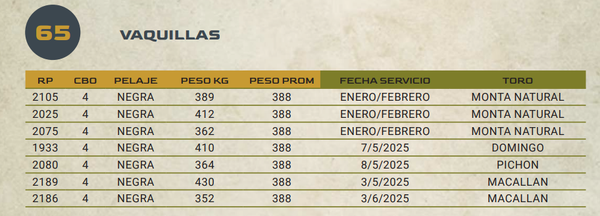 Lote LOTE 65