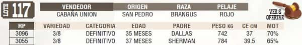 Lote LOTE 117