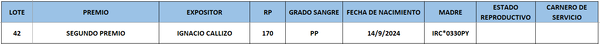 Lote LOTE 42