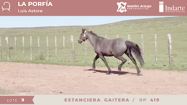 Lote ESTANCIERA GAITERA