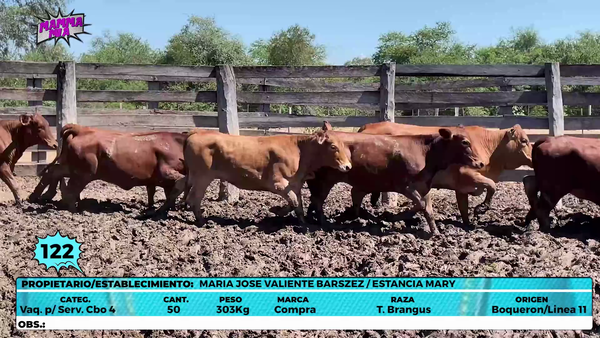 Lote LOTE 122