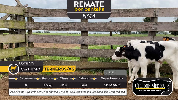 Lote 8 Terneros en José Enrique Rodó, Soriano