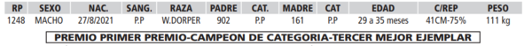 Lote LOTE 16