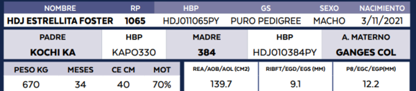 Lote LOTE 13