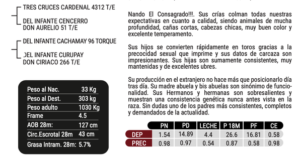 Lote "CABAÑA EL CORAJE" - NANDO - Del Infante Pancho, Torque 869 T/E