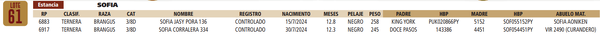 Lote LOTE 61