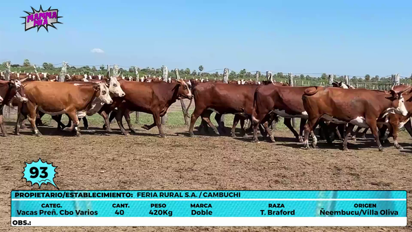 Lote LOTE 93