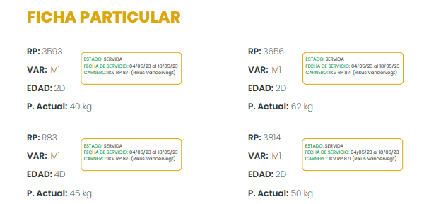 Lote LOTE 62